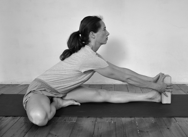 Yoga and the Mind-Body Complex